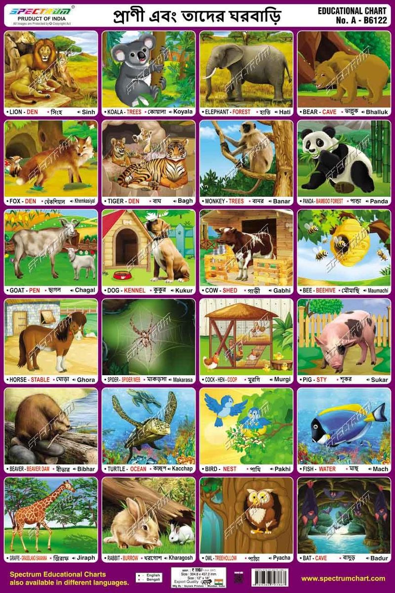 Chart Animals & Their Homes (Bengali)